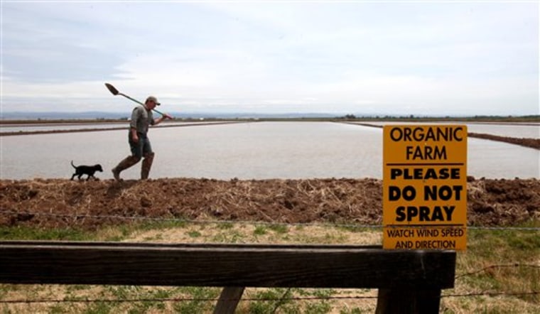 Michaell Bosworth removes boards from a small dam to allow water to flow between rice fields.